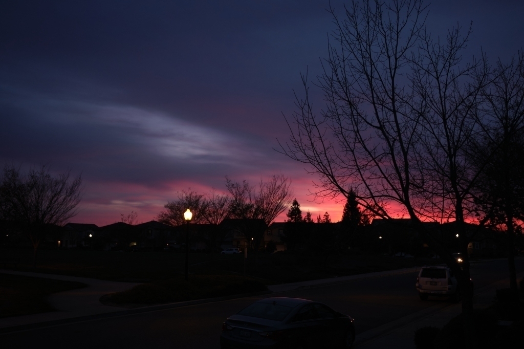 The last of a sunset, with the sun below the horizon and the sky is filled with deep red and purple hues. A silhouette of a tree and bare branches frames the right side. 