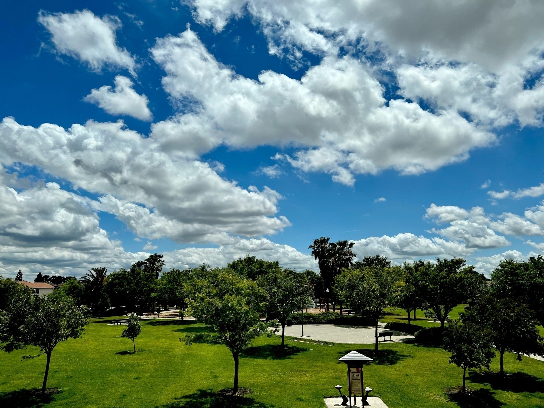 Fluffy white clouds hover over a park. The sky is a deep blue, and the sun is shining afyer a morning of rain.  